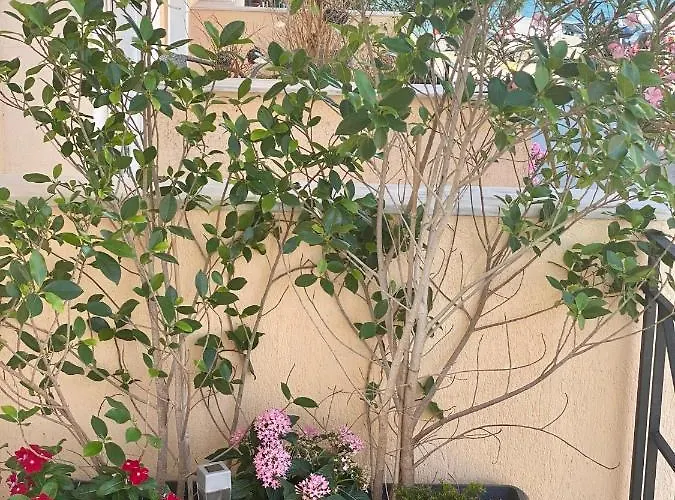 Filippos * Argostoli (Kefalonia)