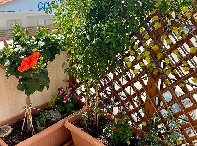 Apartmán Filippos Argostoli (Kefalonia)