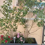 Filippos * Аргостолион